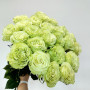 21 зеленая роза фото 3